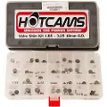 HotCams 10 Mm Ktm Ventilskive