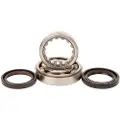 Hotrods Honda Crf 250r 06-17/x 07-17 Veivaksellagersats
