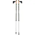 Rock Experience Nordic Walking Spaserstokker