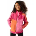 Regatta Brynden Softshelljakke