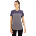 Icebreaker Merino 125 Cool-lite Sphere Iii Colour Block Kortarmet T-skjorte