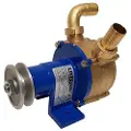 Goldenship 25 Spesiell Pumpe