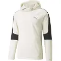 Puma Evostripe Warm Hettegenser
