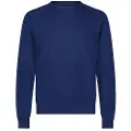 Lee Clean Raglan Genser