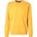 Only & Sons Connor Reg Collegegenser