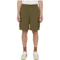 Dickies Jackson Cargo Shorts