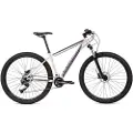 Coluer Ascent 295 29´´ Altus 2025 Terrengsykkel