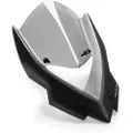 Puig Carenabris New Generation Touring Kawasaki Z1000/z1000r Frontrute