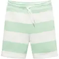 Tom Tailor 1031882 Striped Sports Shorts