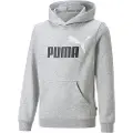 Puma Ess+ 2 Col Big Logo Fl B Hetteskjorte