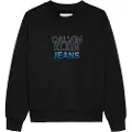 Calvin Klein Gradient Flock Logo Cn Hettegenser