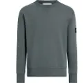 Calvin Klein Jeans Badge Collegegenser