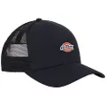 Dickies Hanston Trucker Cap