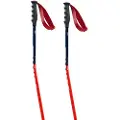 Swix World Cup Pro Donwhill Spaserstokker