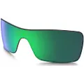 Oakley Mann Batwolf Replacement Lenses