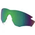 Oakley M2 Frame Prizm Polariserte Erstatningslinser