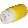 Marinco Ip56-plugg 3939620/1 220v