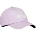 Superdry Graphic Baseball Cap