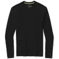 Smartwool Merino 250 Crew Langarmet T-skjorte