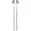 Black Diamond Traverse Spaserstokker