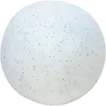 Schylling Snowball Crunch