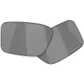 Oakley Mann Heliostat Replacement Lens