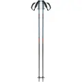 Salomon Polar Pro Spaserstokker