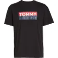 Tommy Hilfiger Reg Rwb Entry Kortarmet T-skjorte