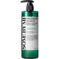 SOME BY MI AHA BHA PHA 30 Days Miracle Acne Clear Body Cleanser 400g