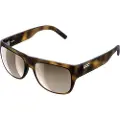 POC Want Tortoise Brown Solbriller