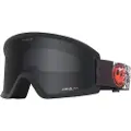 Dragon alliance Dr Dx3 L Otg Skibriller