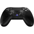 Raptor Gaming Wgc100 Ps4-kontroller