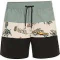O'Neill Mix & Match Cali Block 15'' Boardshorts