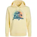 Jack & Jones 12249267 Hettegenser