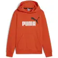 Puma Ess+ 2 Col Big Logo Hettegenser