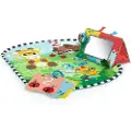 Baby einstein Discovery Garden Tummy Time Mat & Mirror