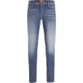 Jack & Jones Glenn Fox Am 489 50sps Jeans