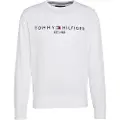 Tommy Hilfiger for man. MW0MW11596 V-neck jumper with white embroidered logo (S), Casual, Cotton