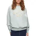 Superdry Applique Athletic Loose Collegegenser
