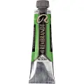 Rembrandt Oil Colour Tube Permanent Green Light 618