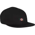 Dickies Albertville Cap
