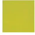 Duni - Serviett - Størrelse 33 x 33 cm - avhendbar - kiwi (en pakke 500)
