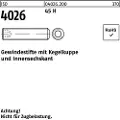 Lemvigh-Muller M 10X16 pinol skrue med flad ende ISO 4026 - (200 stk.)
