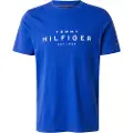 Tommy Hilfiger Big Kortarmet T-skjorte
