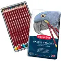 Derwent Metallisk Pastellblyant 12 Enheter