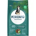 Forza10 Maintenance Maxi med vilt og potet - Sparpaket: 2 x 12 kg