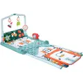 Fisher-Price 2-i-1 Lekegrindmatte