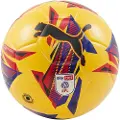 Puma Orbita 3 Sky Bet Efl 24/25 Fotball