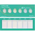 Zig Gansai Tambi Opal Colors akvarell, 6 farger