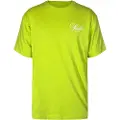 SikSilk Graphic Kortarmet T-skjorte